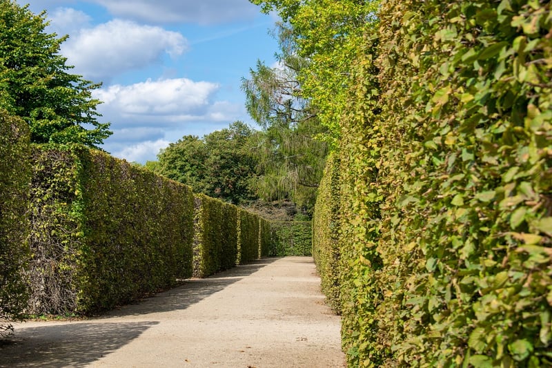 Labyrinth walk